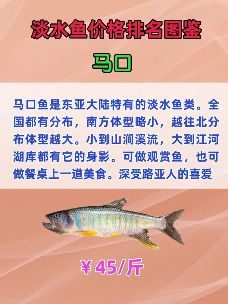 2025淡水鱼价格会涨还是跌？-图3