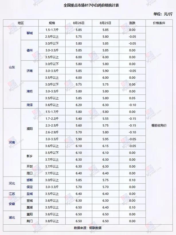 山东817鸡苗今日价格多少？-图1