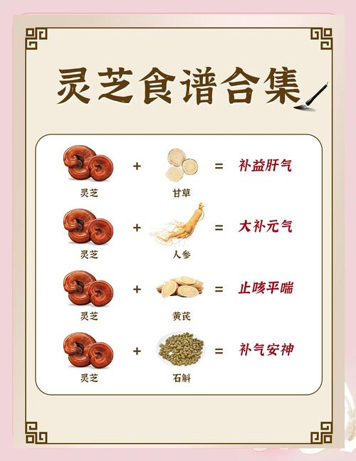 灵芝高产栽培技术方案有哪些关键点？-图2