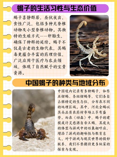 蝎子无冬眠养殖技术书，如何实现全年高效养殖？-图1