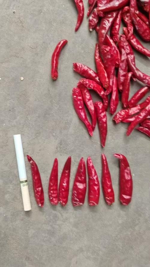 三樱椒哪个公司的品种品质更优？-图2