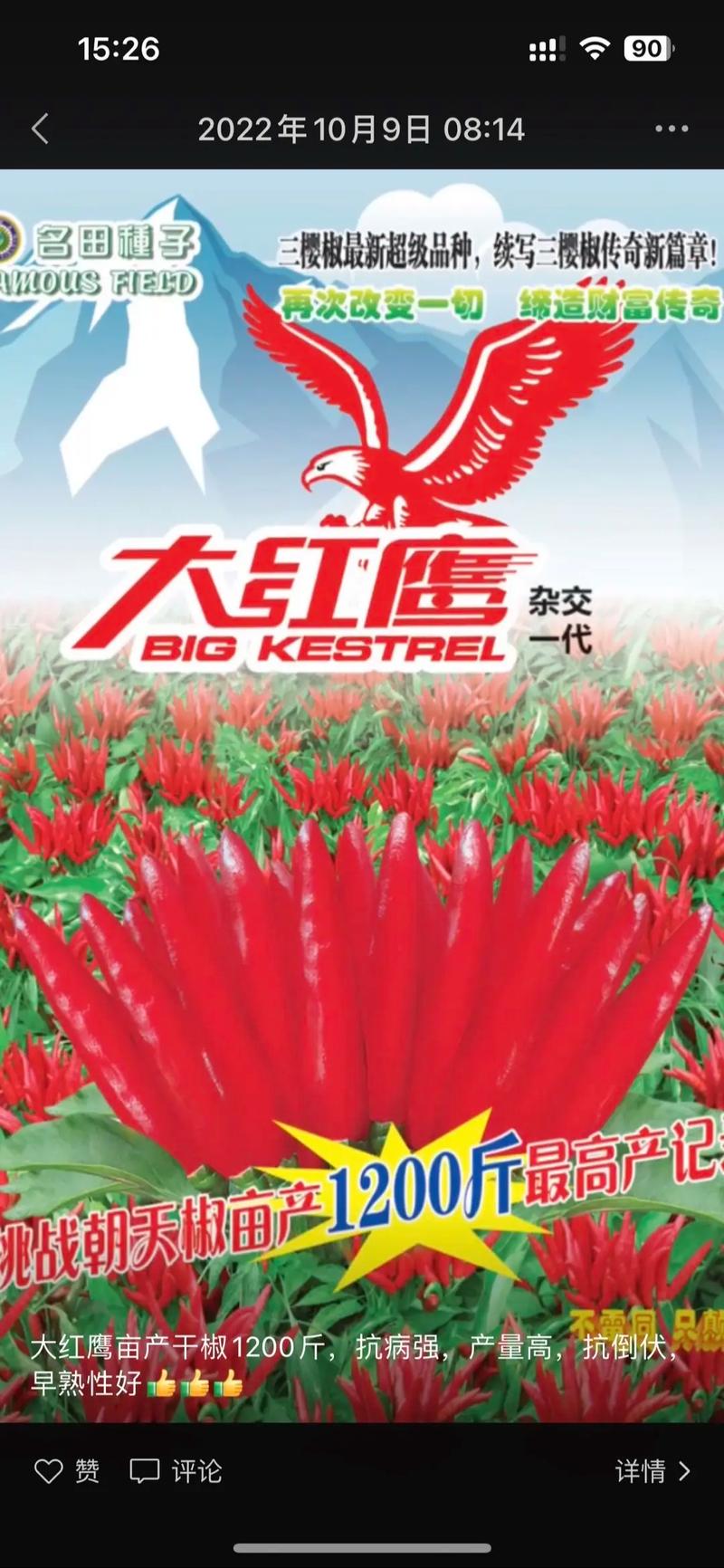 三樱椒哪个公司的品种品质更优？-图1