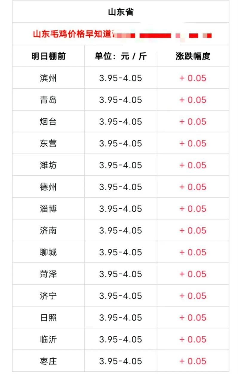 今日817毛鸡棚前价格最新多少？-图3