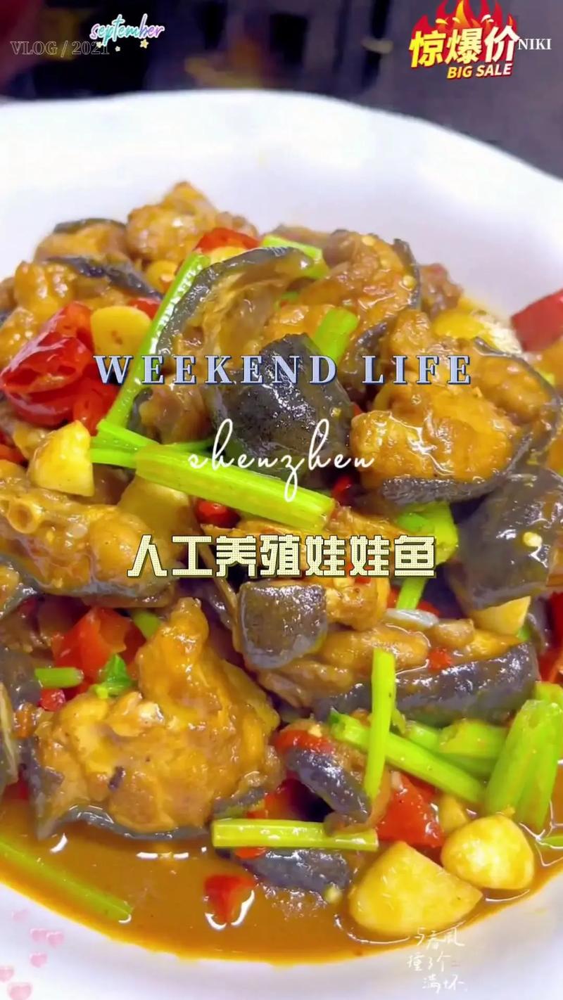 2025娃娃鱼最新价格多少？行情如何？-图1