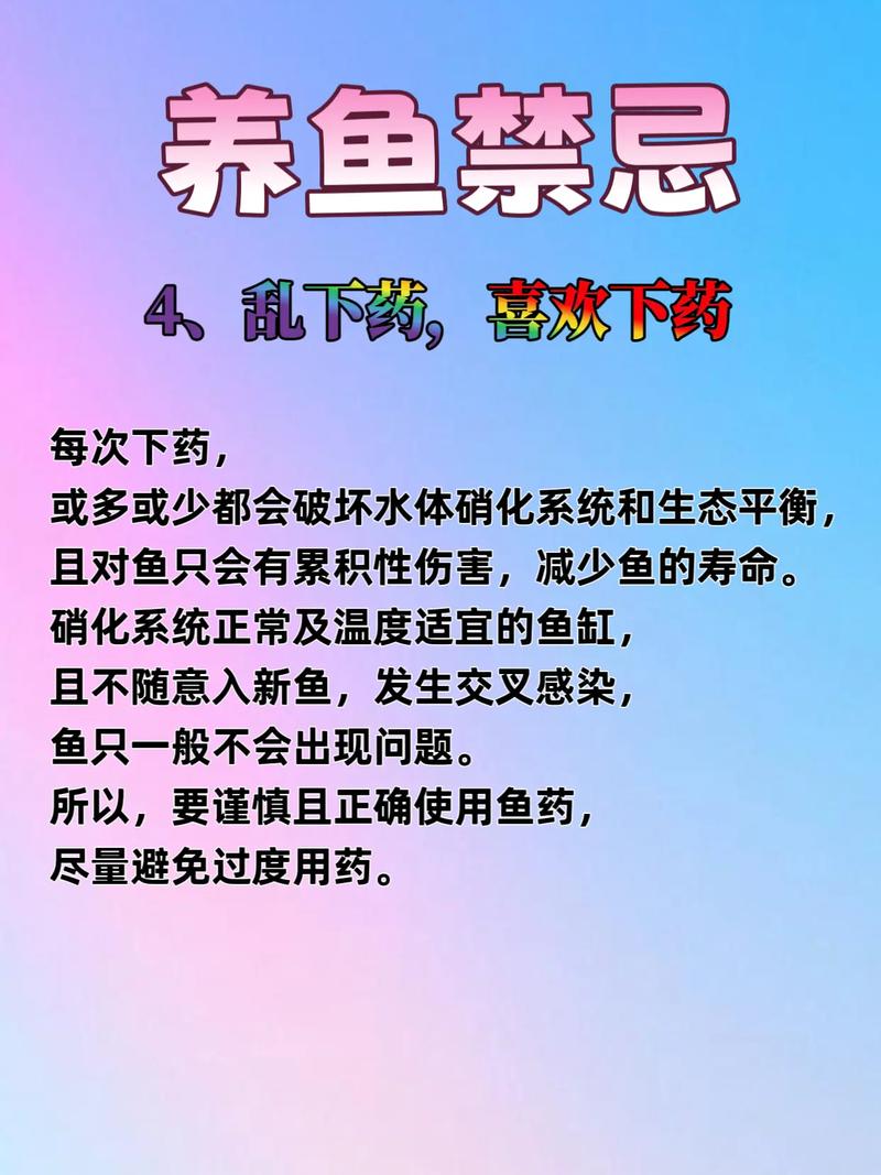 养鱼技术要领有哪些关键点？-图2