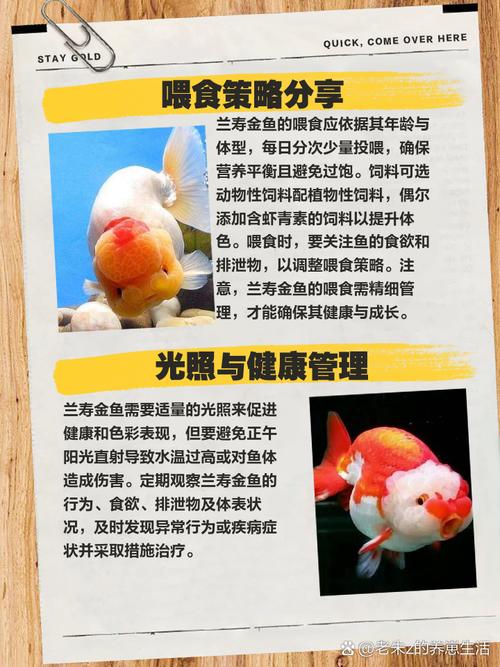 养鱼技术要领有哪些关键点？-图3