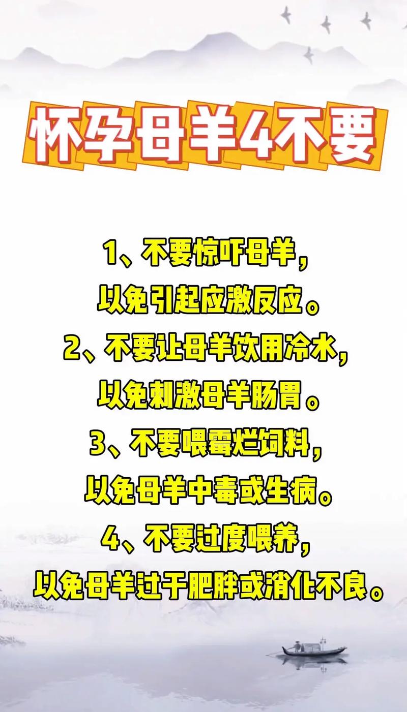 本地养羊如何有效预防疾病？-图2