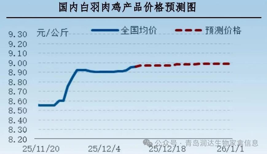 山东今日肉毛鸡价格行情如何？-图2