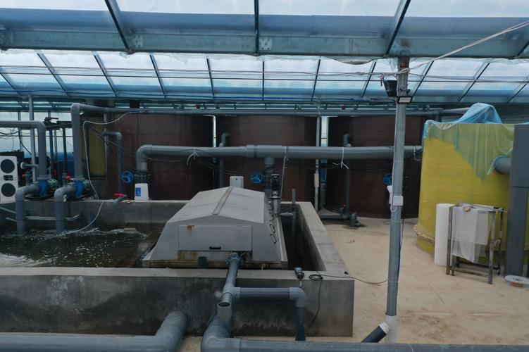 室内养河虾，设备技术如何搭配？-图3