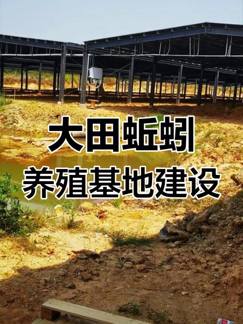 蚯蚓养殖技术有哪些关键要点？-图2