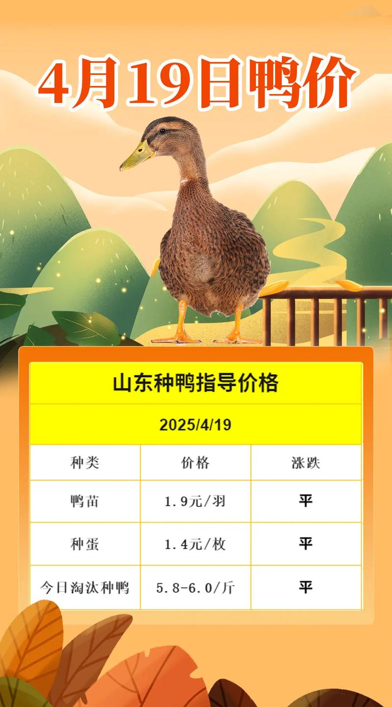2025淘汰鸭价格会涨还是跌？-图2