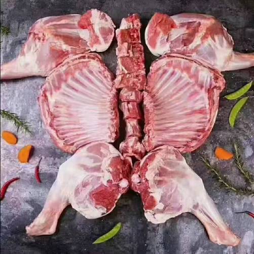 福建养羊，什么品种最合适？-图2