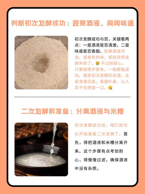 发酵技术起源于何时？-图3