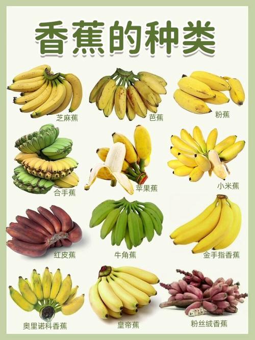 香蕉品种有多少？附图片看区别。-图1