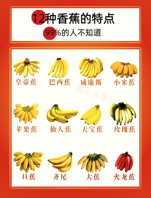 香蕉品种有多少？附图片看区别。-图2