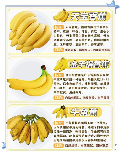 香蕉品种有多少？附图片看区别。-图3