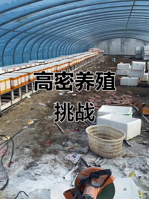 黄鳝室内养殖新技术有哪些要点？-图2