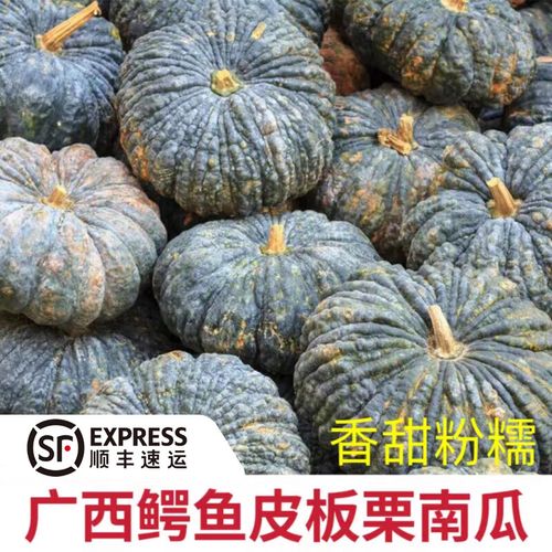 广西南瓜种植品种有哪些？-图1