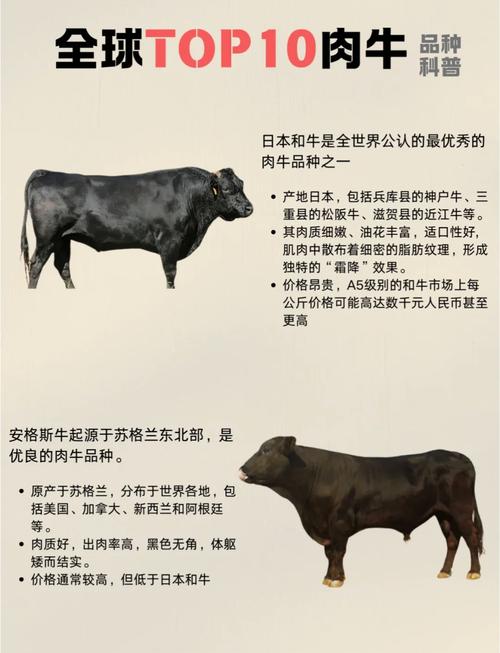 大理石花纹的肉牛品种有哪些？-图3