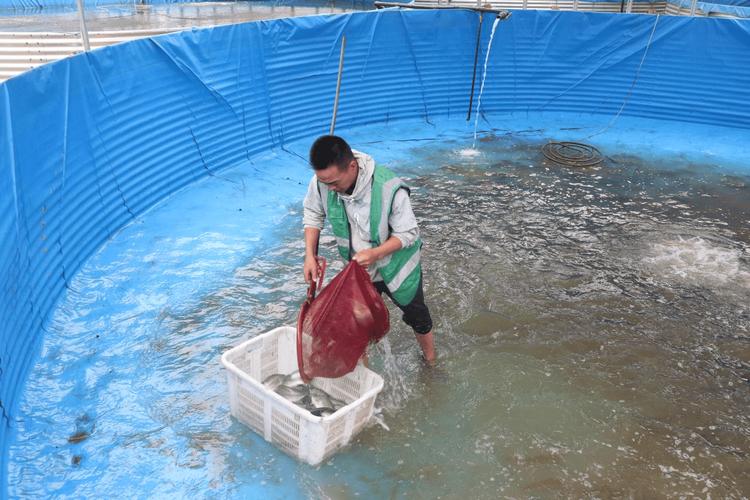 水库养鱼技术视频，如何快速掌握关键技巧？-图1