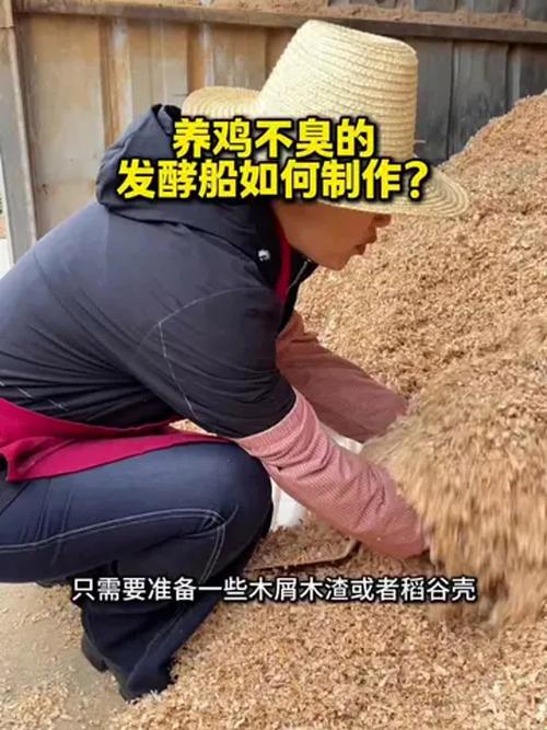 发酵床养鸡技术如何高效应用？-图2