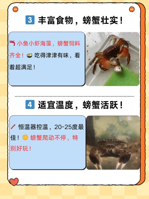 河蟹桂花鱼混养如何增效？-图1