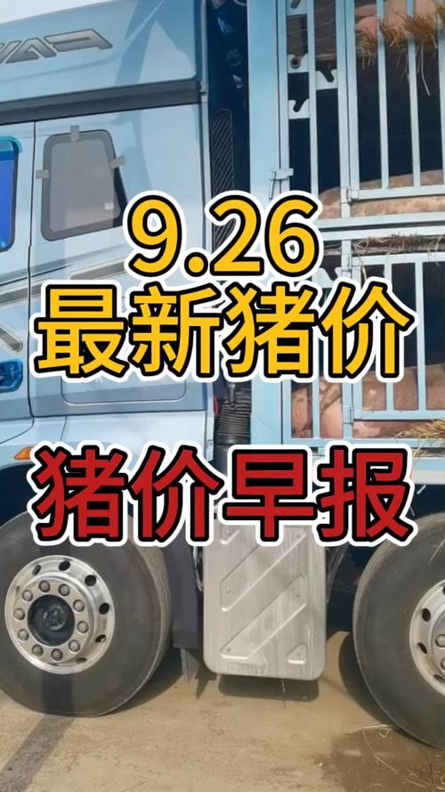 山东今日猪价最新行情如何？-图2