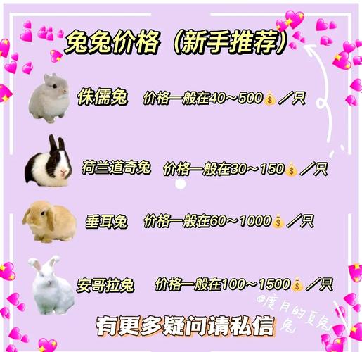 2025年4月獭兔价格会涨还是跌？-图1