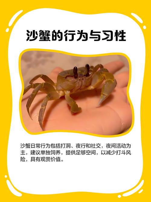 螃蟹养殖技术核心要点有哪些？-图1