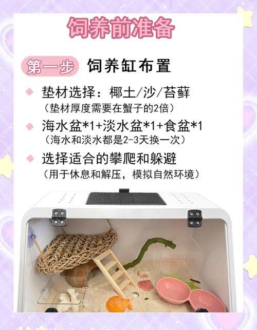 螃蟹养殖技术核心要点有哪些？-图2