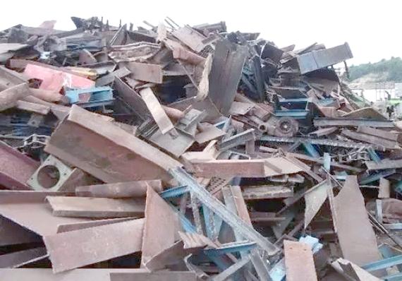 水蛭养殖技术与价格行情如何？-图3