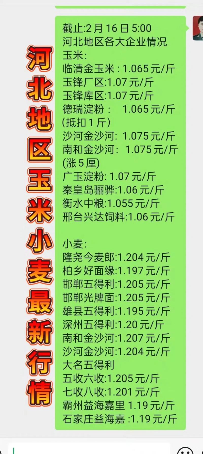 河北玉米价格最新行情怎么样？-图2