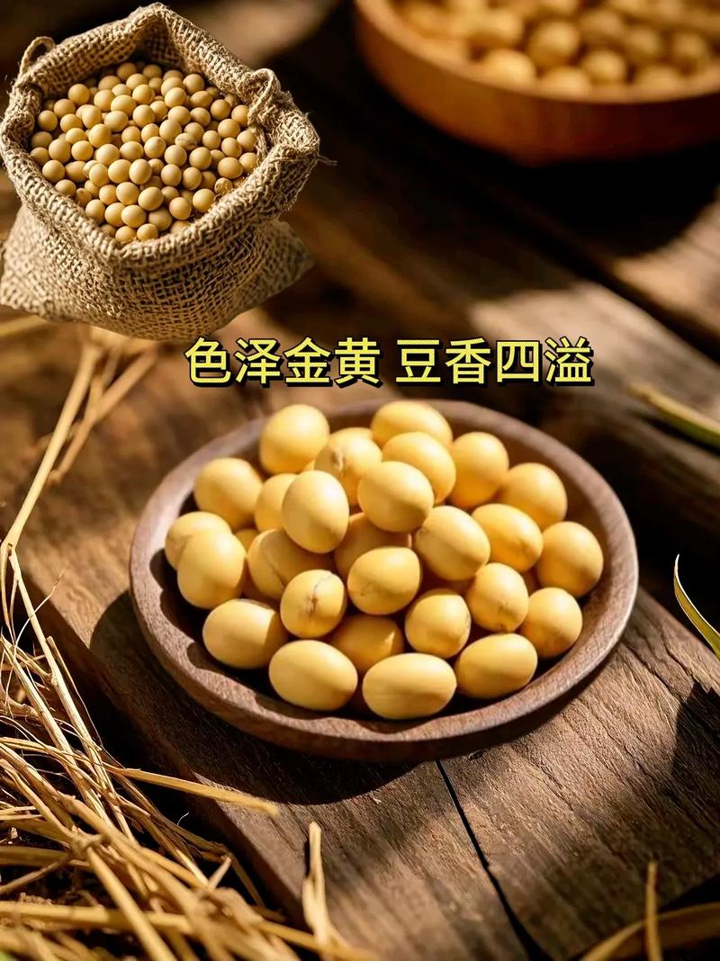 黑龙江大豆价格最新行情如何？-图3