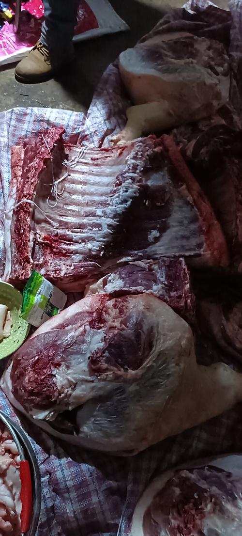 四川土鸡品种有哪些？-图2