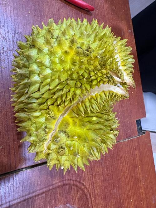 刺猬养殖咋赚钱？销售价格行情如何？-图3