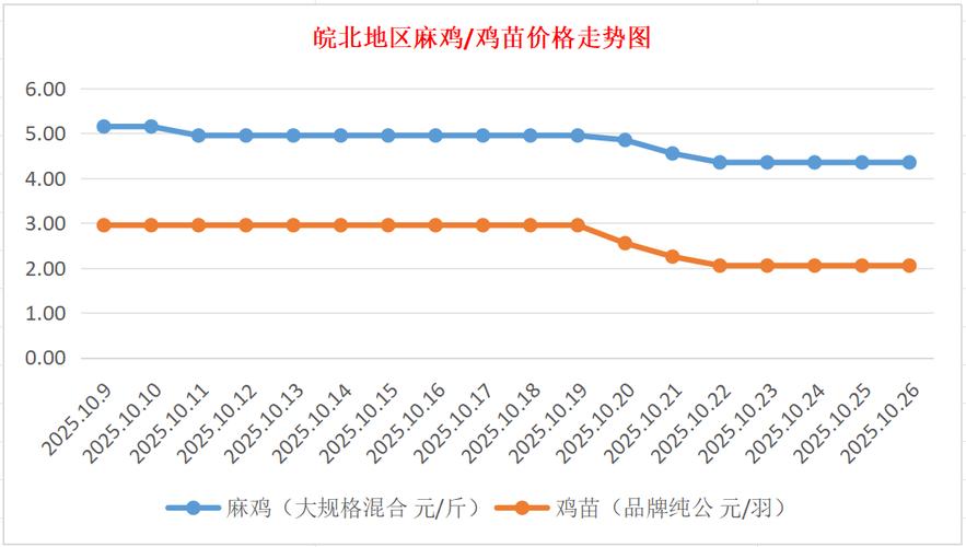 今日山东817鸡苗价格多少钱？-图1