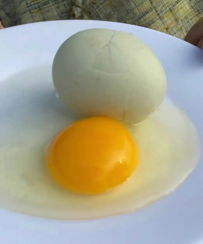 青海7月鸡蛋价格为何波动？-图2