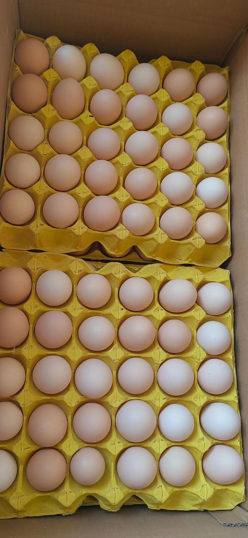 青海7月鸡蛋价格为何波动？-图1