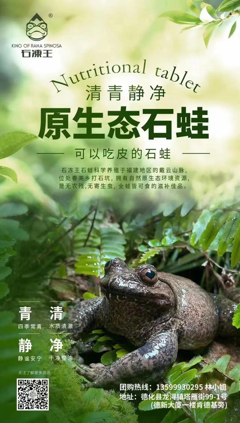 野生石蛙养殖技术可行吗？-图1