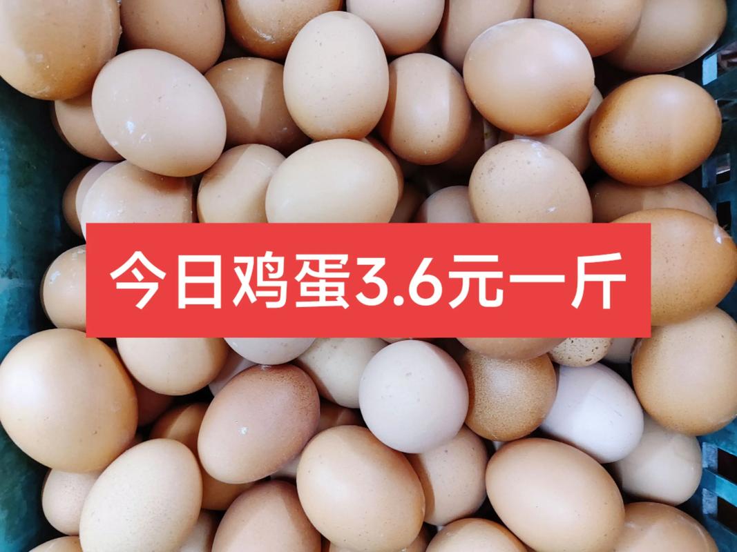 河南鸡蛋今日价多少钱一斤？-图3