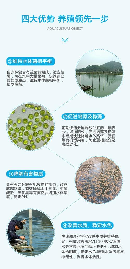 生物絮团技术应用实例效果如何？-图3