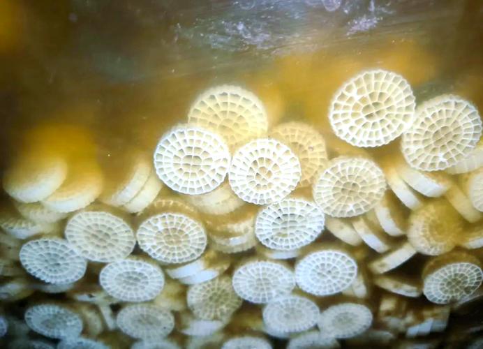 生物絮团技术应用实例效果如何？-图1