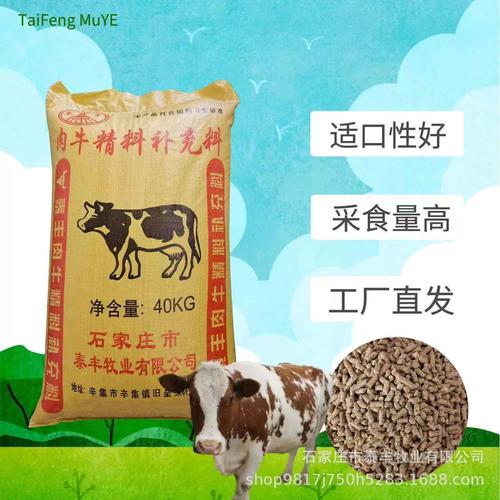 肉牛精饲料价格现在多少钱？-图2