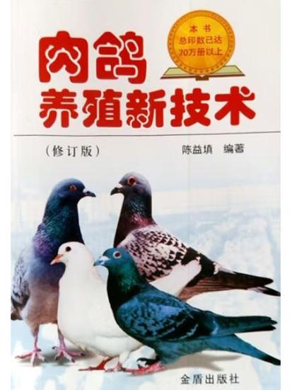 哪里能学到专业的养鸽子技术？-图2