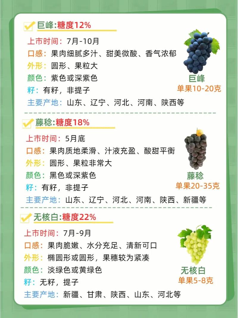 葡萄产地最新价格如何？-图1