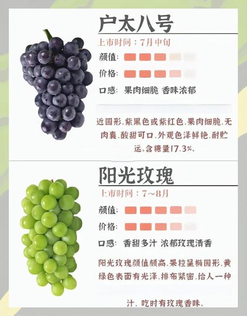 葡萄产地最新价格如何？-图2