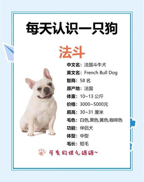 养肉狗选什么品种最赚钱？-图2