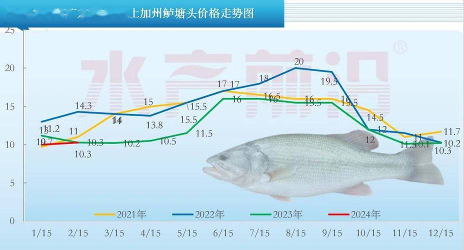 河南加州鲈鱼价格接下来会涨还是跌？-图1