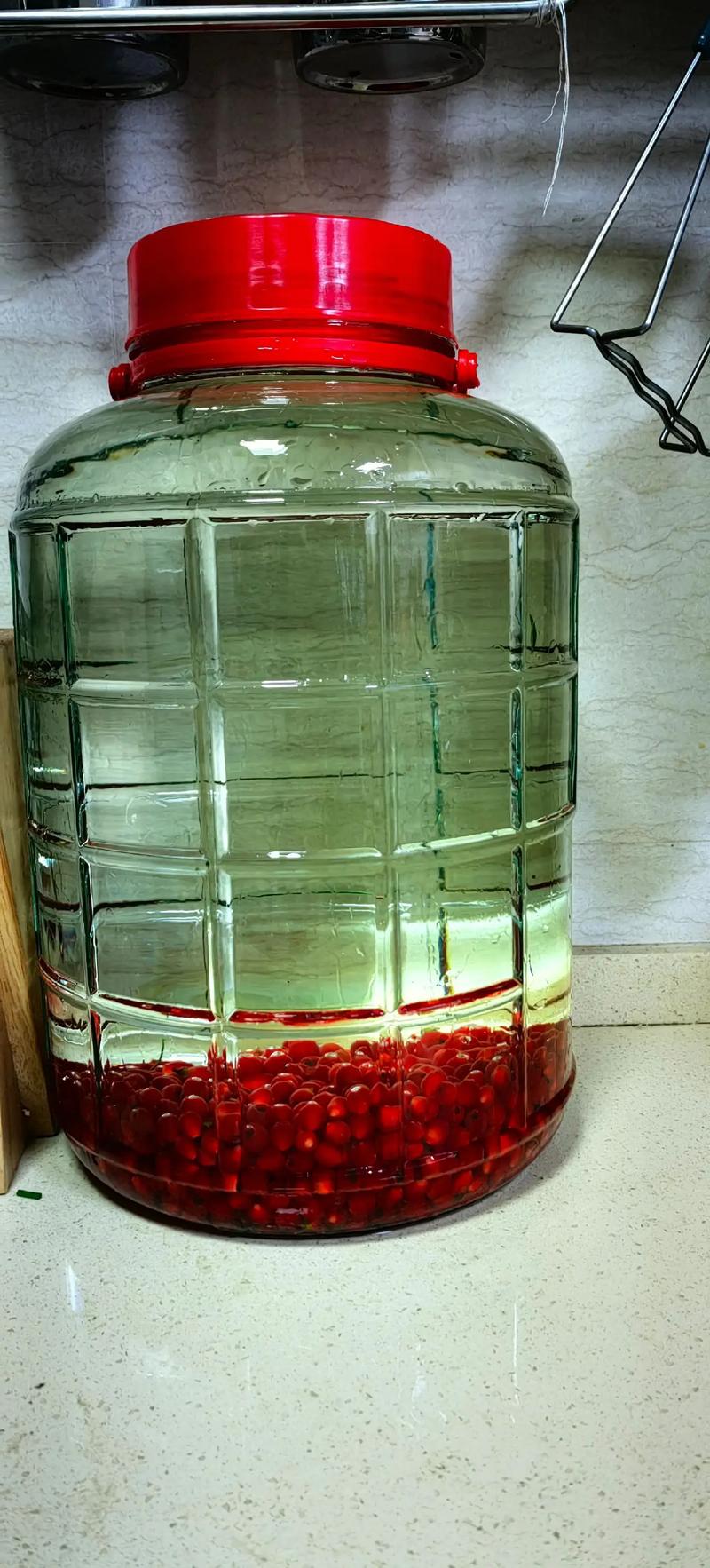 哪种红豆杉品种最好？-图3