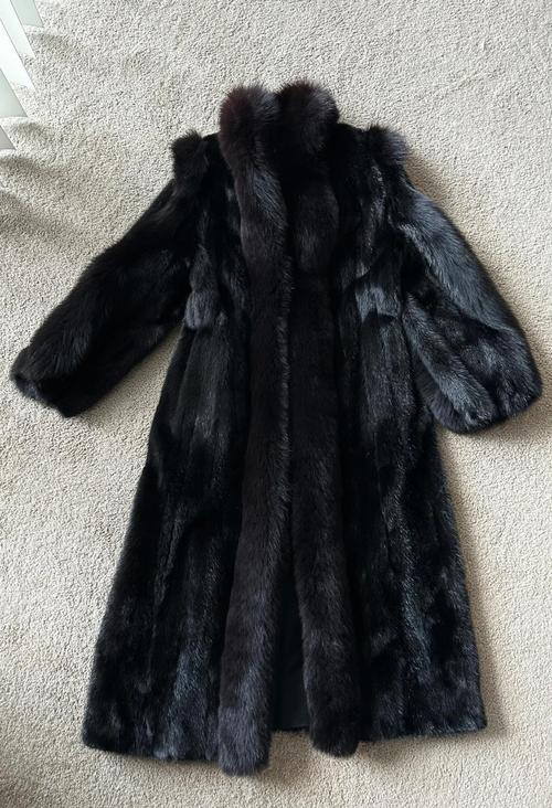 大连短毛黑种水貂价格多少？-图2